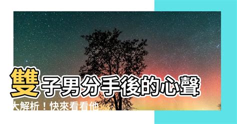 雙子座分手方式|跟雙子男分手後，你需要知道的事情 – 星語軌跡 讓星星告訴你星。